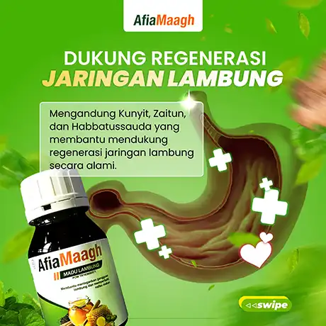 Dukung Regenerasi Jaringan Lambung