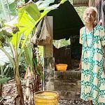 Wanita jompo, Nurmani (69), kehidupannya cukup memprihatinkan. (foto: ist)