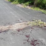 Lokasi mayat ditemukan di kawasan jalan menuju Terminal Induk di Km 17 Gambut, Kabupaten Banjar. (foto:ist)