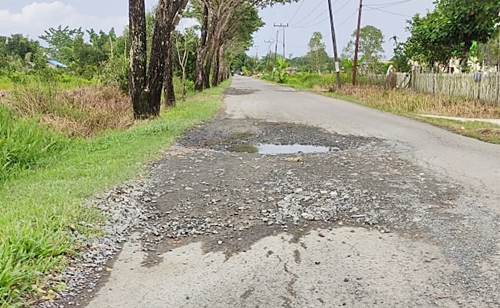 Akses jalan lima desa menuju Kota Marabahan, Batola mengalami kerusakan cukup parah. (foto: faqih)