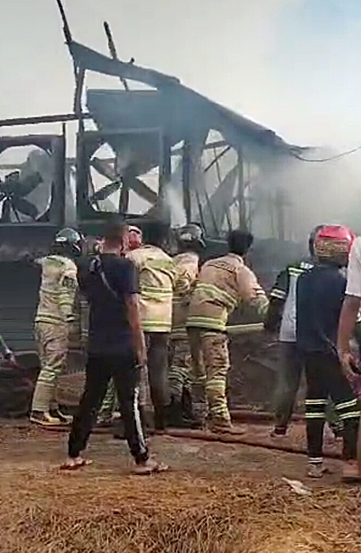 Kebakaran kandang ayam yang terjadi di Desa Mandiangin, Kecamatan Karang Intan, Kabupaten Banjar. (foto: ist)
