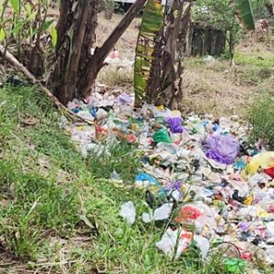 TPS Tak Tersedia, Warga Tumpuk Sampah di Tepi Jalan