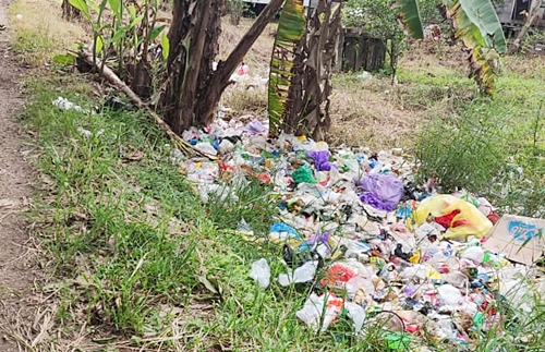 Tumpukan sampah di tepi Jl Jendral Sudirman Kota Marabahan. (foto: faqih)