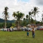 Eks lahan penggembalaan sapi yang kini berubah menjadi objek wisata di Pelaihari, Tanah Laut, Kalsel. (foto: juwita)