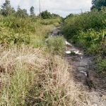 Jalan menuju Desa Palingkau, Kecamatan Bakumpai, Kota Marabahan yang butuh perhatian. (foto: faqih)