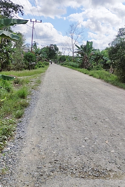 Jalan menuju Kecamatan Wanaraya di Batola. (foto: Faqih)