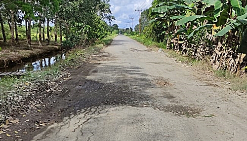 Jalan menuju Kecamatan Wanaraya Batola ini tak kunjung diaspal. (foto: faqih)