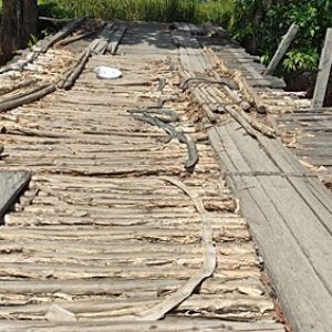 Tentang Kerusakan Jembatan Antar Kabupaten, PUPR Batola; Itu Wewenang Provinsi