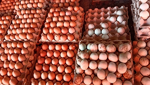 Dagangan telur. (foto: aristy)