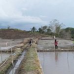 Bencana ekologis di Kabupaten Tapin, Kalsel. (foto: ist)