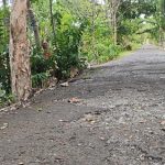 Sudah lima tahun jalan di Kota Marabahan, Kabupaten Batola ini tak pernah diaspal. (foto: faqih)