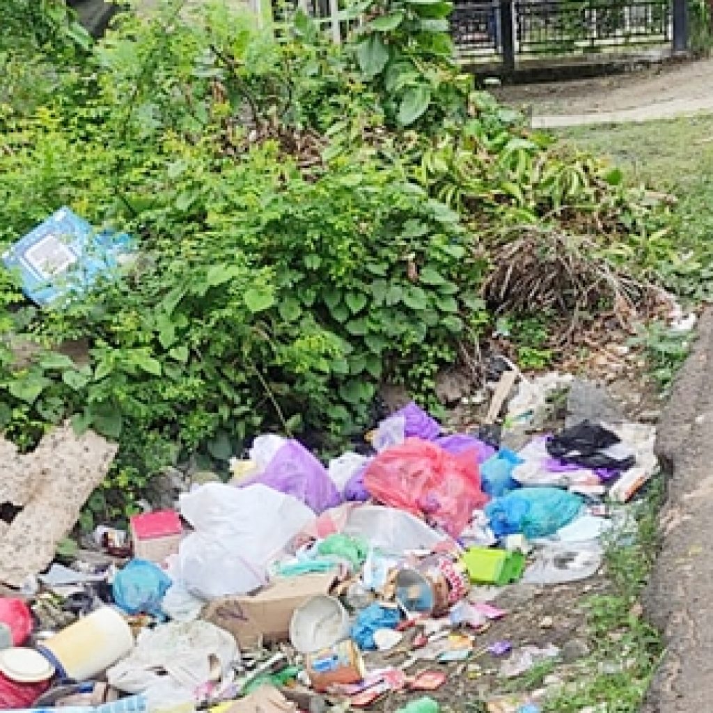 Giliran Jalan Hadariah Jadi “TPS Ilegal”, Warga; Soalnya Dekat Membuang Disini