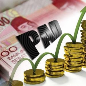 Investor Batalkan Investasi di Kotabaru Gegara Anggap Regulasinya Ribet