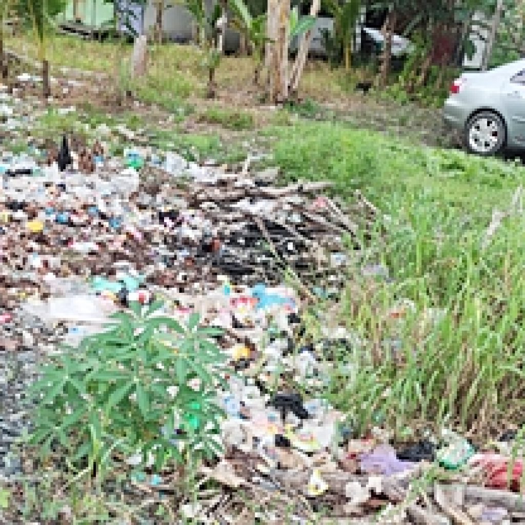 “TPS Ilegal” di Mana-mana, Warga Sungai Sangkai Marabahan Buang Sampah di Tepi Jalan