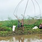 Mencari ikan gunakan hancau. (foto: ramli)