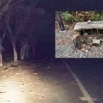 Jalan KTM di Batola tanpa PJU. (dok:koranbanjar,net)