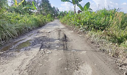 Jalan rusak di Desa Sawahan, Batola. (foto: faqih)