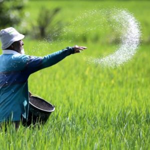 Manfaatkan Radio di Tanbu, PPIU YESS Kalsel Bangun Jejaring dan Ekosistem Bisnis Pertanian