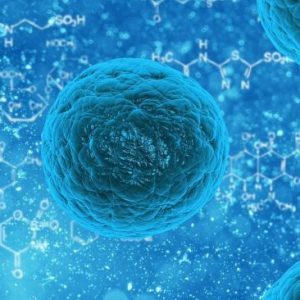 Muncul Virus Corona Varian R1, Apakah Sudah Masuk Ke Indonesia?