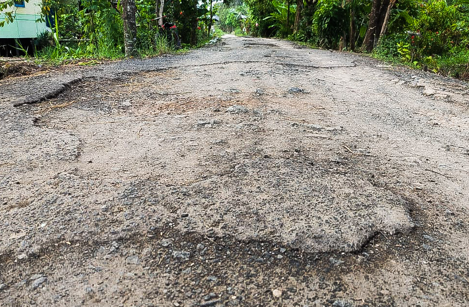 Jalan di Desa Julungan, Kabupaten Batola, Kalsel mengalami kerusakan yang cukup parah.(foto: faqih)
