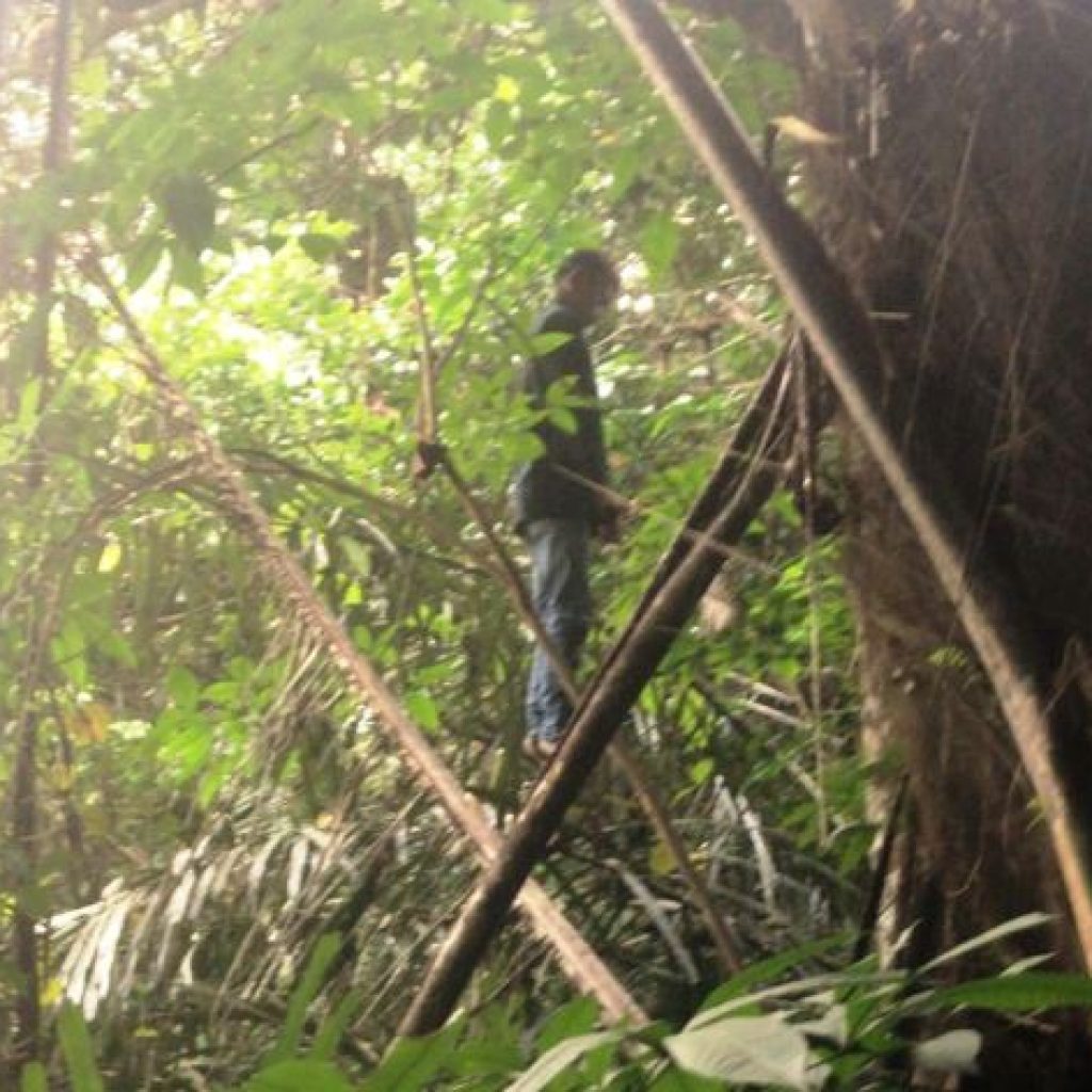 Warga Telaga Langsat Heboh, Sesosok Mayat Tergantung di Pohon