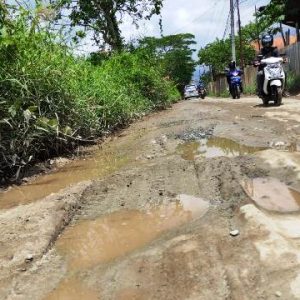 Jalan Alternatif Warga Anjir ke Banjarmasin Rusak Parah