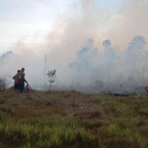 Dua Hektare Lahan di Handil Kuripan Terbakar