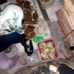 Proses pengolahan jaruk terap di Kabupaten Hulu Sungai Tengah, Kalsel. (foto: ramli)