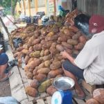 Pedagang buah cimpedak di Kota Banjarmasin, Sabtu, (11/9/2021). (foto: leon)