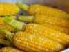 Ilustrasi Jagung. (Pixabay)