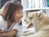 5 Arti Mimpi Anjing: Tanda Kesehatan Mental Hingga Adanya Perselingkuhan?