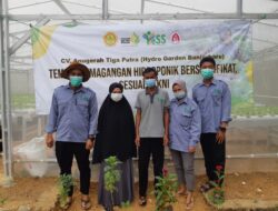 Kementerian Pertanian Persiapkan Sertifikasi Peserta Magang Petani Milenial