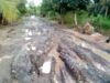 RUSAK – Jalan Poros Kiri Tamban di Kabupaten Batola yang hancur.(foto: faqih)