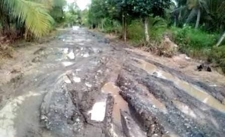 RUSAK – Jalan Poros Kiri Tamban di Kabupaten Batola yang hancur.(foto: faqih)