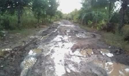 HANCUR – Kerusakan jalan akibat sering dilintasi truk angkutan sawit.(foto: faqih)