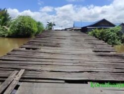 Memprihatinkan, Jalan dan Jembatan di Batola Ini Luput Dari Perhatian