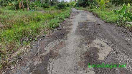 JALAN RUSAK – Selain jembatan, jalan di desa Tamban ini juga memprihatinkan.(foto: faqih)