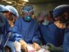 Tim bedah memeriksa ginjal babi di NYU Langone di New York, AS. (Foto: Joe Carrotta for NYU Langone Health via Reuters)