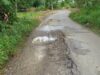 Jalan desa di Kabupaten Hulu Sungai Tengah, Kalsel ini sudah mulai rusak dan membutuhkan perbaikan. (foto: ramli)