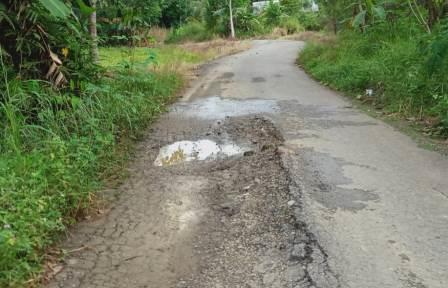 Jalan desa di Kabupaten Hulu Sungai Tengah, Kalsel ini sudah mulai rusak dan membutuhkan perbaikan. (foto: ramli)