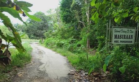 Jalan desa di Kabupaten Hulu Sungai Tengah, Kalsel ini sudah mulai rusak dan membutuhkan perbaikan. (foto: ramli)
