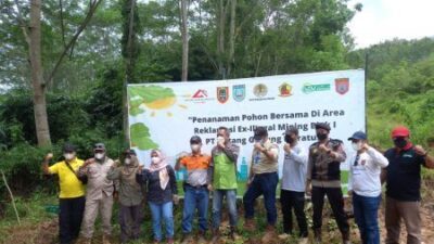 Eks Tambang Ilegal di Telaga Bauntung Ditanami Ratusan Batang Pohon