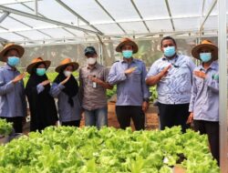 Sertifikasi Profesi Bagi Peserta Pemagangan Petani Milenial di Kalimantan Selatan