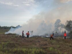 BPBD Kota Banjarbaru Catat 92,2 Hektare Karhutla di Wilayah Banjarbaru