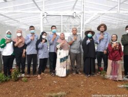 Dukung Tingkatkan Ilmu Petani Milenial, Begini Tanggapan Tempat Magang