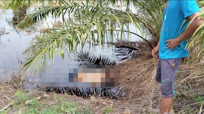 Pria tua ditemukan tewas secara misterius di kanal sawit, kawasan Jalan Rangau Duri, Kabupaten Bengkalis.(istimewa)