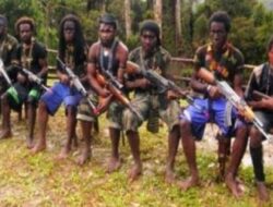 TNI Sebut OPM Terima Pasokan Senpi dari Papua Nugini, Serbu Koramil dan Tewaskan 1 Prajurit