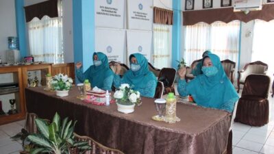 Ketua PKK Hulu Sungai Selatan Webinar Ibu Cerdas dan Terampil