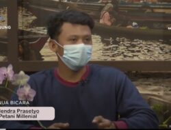 Kementan Berupaya Tingkatkan Kapasitas Usaha Petani Milenial Kalsel