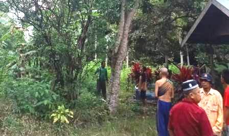 Masyarakat geger menyaksikan korban di atas pohon tersengat listrik.